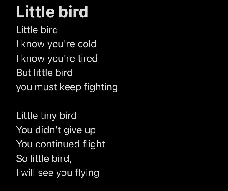 Emily_ThePoet's tweet photo. To all my little birds out there, Welcome to the family. Remember, I’ll see you flying💜#poetrycommunity #poetryporn #poetrylovers #poetrylovers #poemoftheday #poemsdaily #poemporn #positivevibes #positivity #positivemindset #poemsaboutlife #wordsthatheal #writersofinstagram #fyp https://t.co/QSrhwMV00K