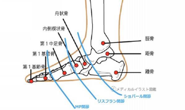 ショパール関節 Hashtag On Twitter