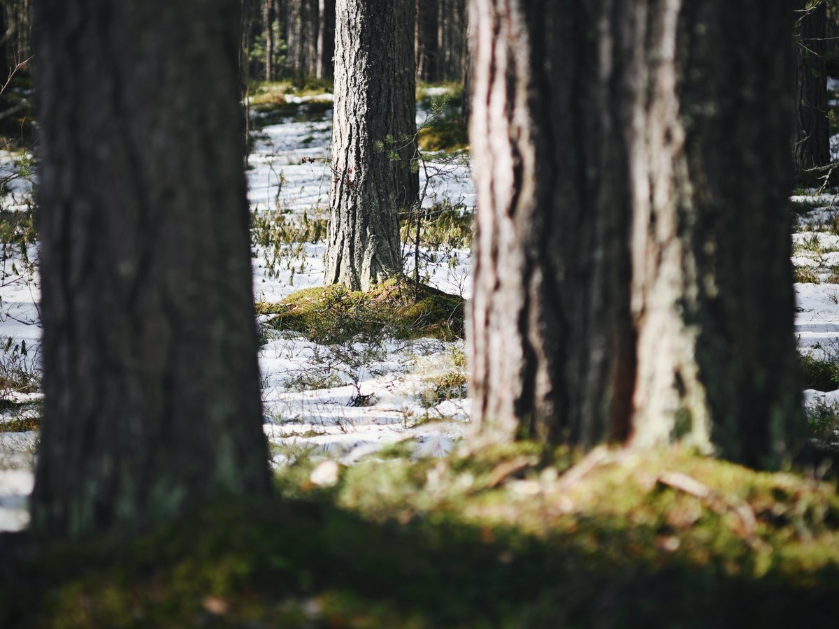 pora_provetrit's tweet photo. #nikonz50 #vsco https://t.co/UIc9vUqYfi