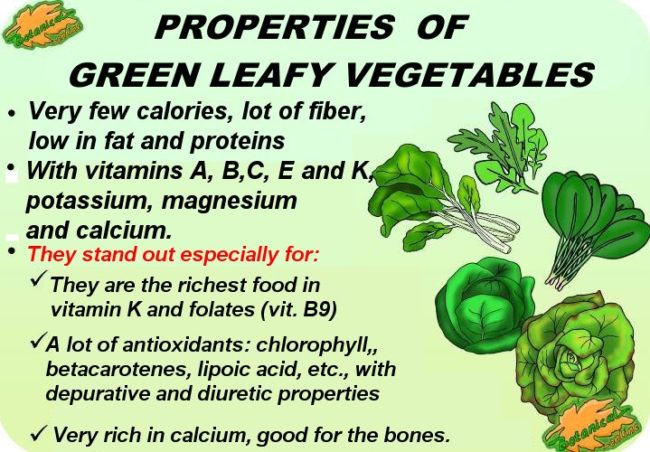 Homestead4Honey's tweet photo. #EatRealFood #FoodisMedicine https://t.co/fFpS0OqS2i