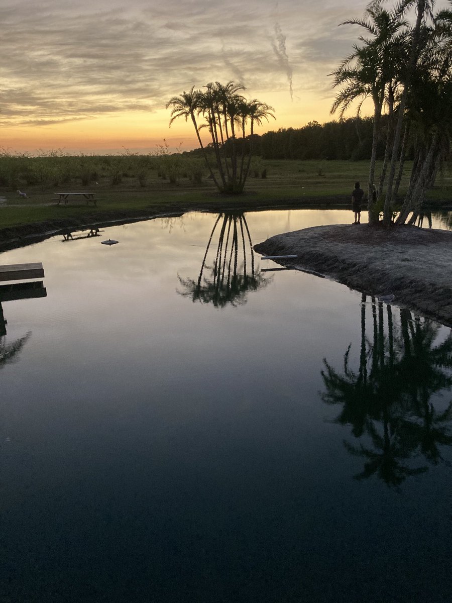StirnSally's tweet photo. Florida beauty! https://t.co/aeobu7ROOy
