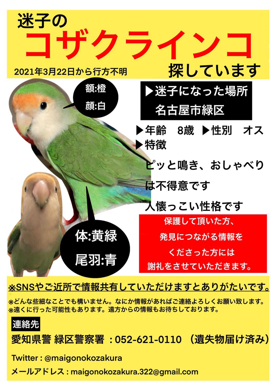 桜 迷子のコザクラインコ探してます 21 3 22 名古屋 緑区 にてコザクラインコが迷子になりました 保護してくださっている方 目撃してくださった方はいらっしゃいませんでしょうか 些細な情報でも構いません ご連絡いただけますとありがたいです 桜 迷子のコザクラインコ探してます 21 3 22 名古屋 緑区 にてコザクラインコが迷子になりました 保護してくださっている方 目撃してくださった方はいらっしゃいませんでしょうか 些細な情報でも構いません ご連絡いただけますとありがたいです