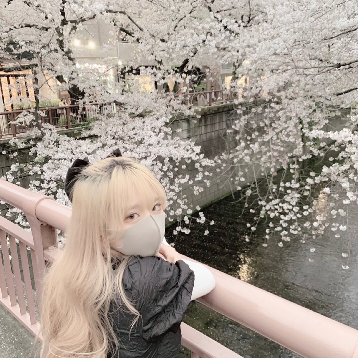 商い 世界に1枚だけのあんびちゃんチェキ asakusa.sub.jp