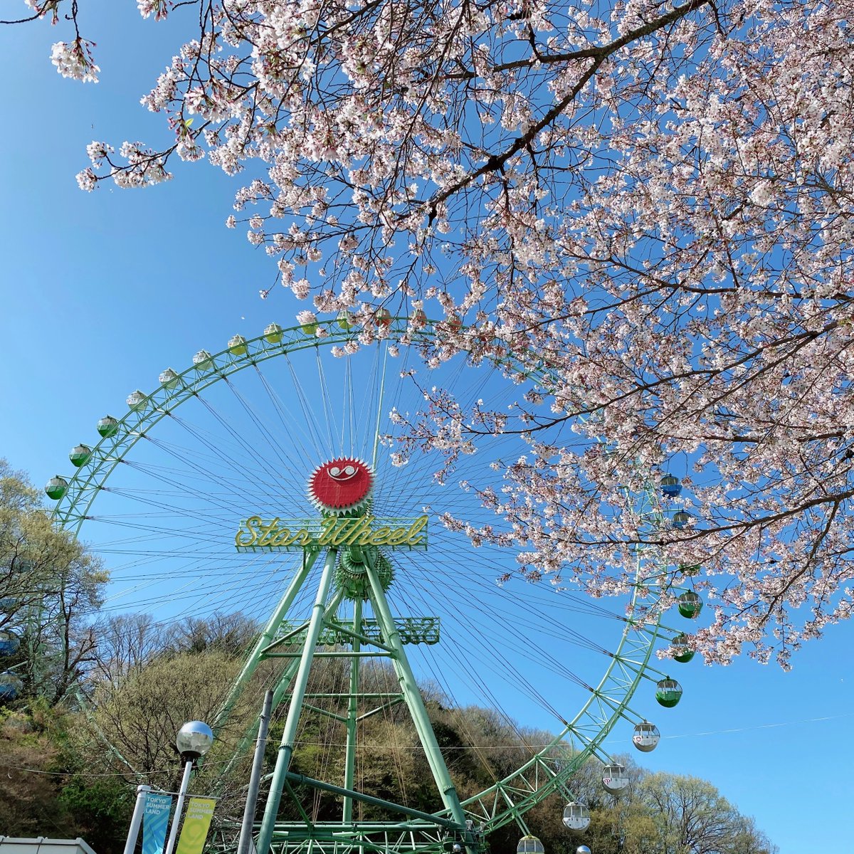 東京サマーランド Tokyosummerland Twitter