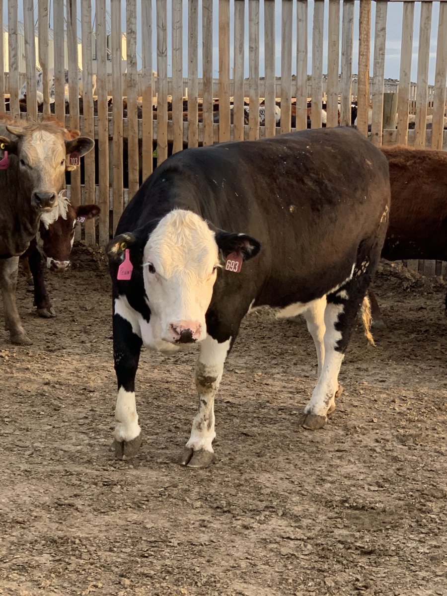 LeightonKolk's tweet photo. Apparently our crew was a little concerned about my pen checking abilities this weekend so they helped me identify what I was checking. What’s your best hastag #tag #Howdoyouidentify #erie https://t.co/zaFAz36b3w