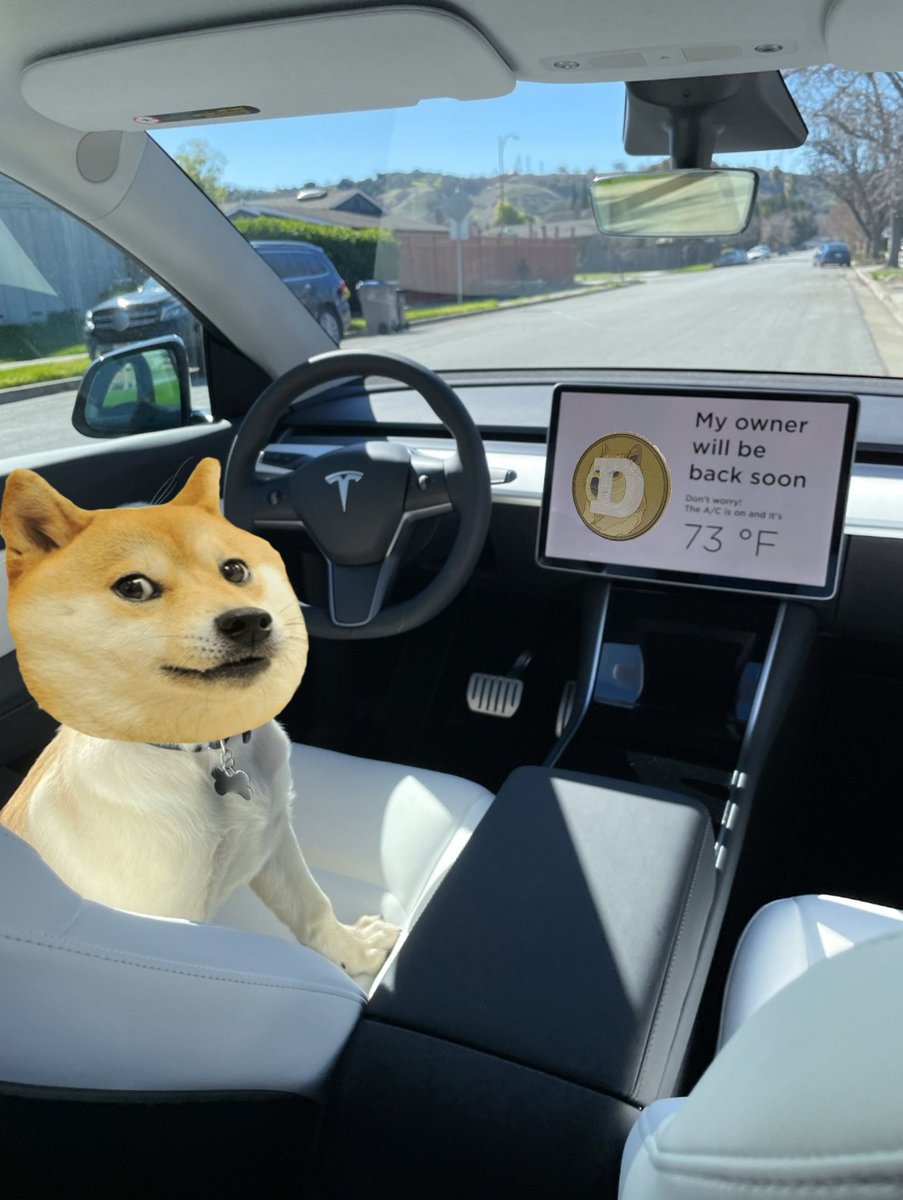 leastImAlive's tweet photo. Fixed it @Tesla
#doge
#DogecoinRise
#DogeCointoMars
#Tesla
#DogeMode https://t.co/G6a1aFN37U