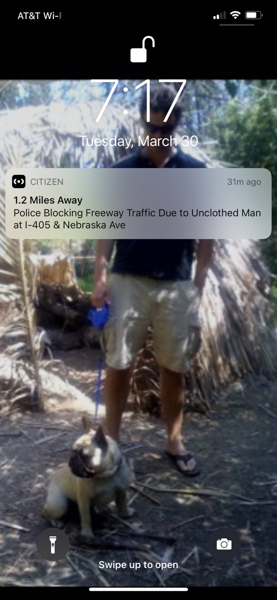 BeautifulDayBlg's tweet photo. Can’t make this stuff up. #LosAngeles #citizenapp #LAPD #lalaland #hollyweird #Hollywood #news https://t.co/d3iDW5Pj8V