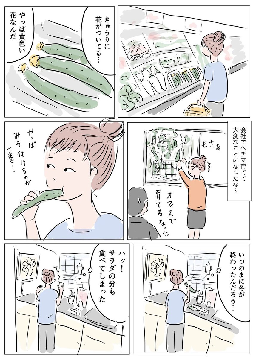 会社の窓辺でヘチマ育てたのはホントの話。蔓が大変なことになったのはよい思い出 