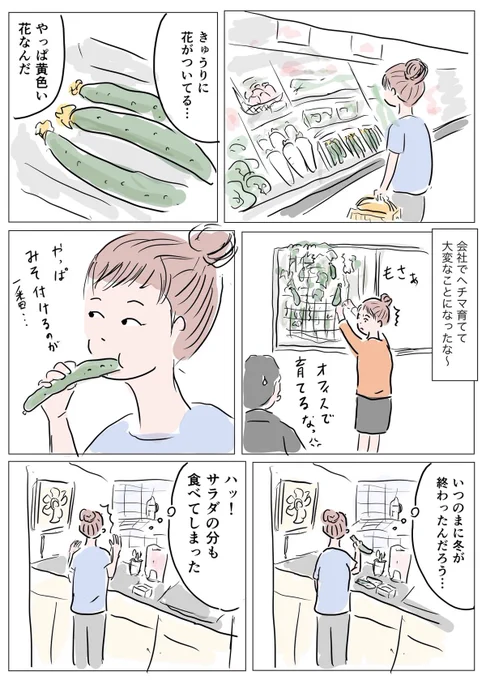 会社の窓辺でヘチマ育てたのはホントの話。蔓が大変なことになったのはよい思い出 