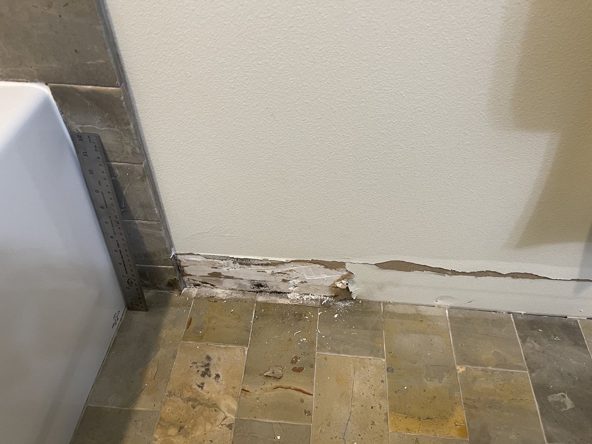 David Coy tweet media