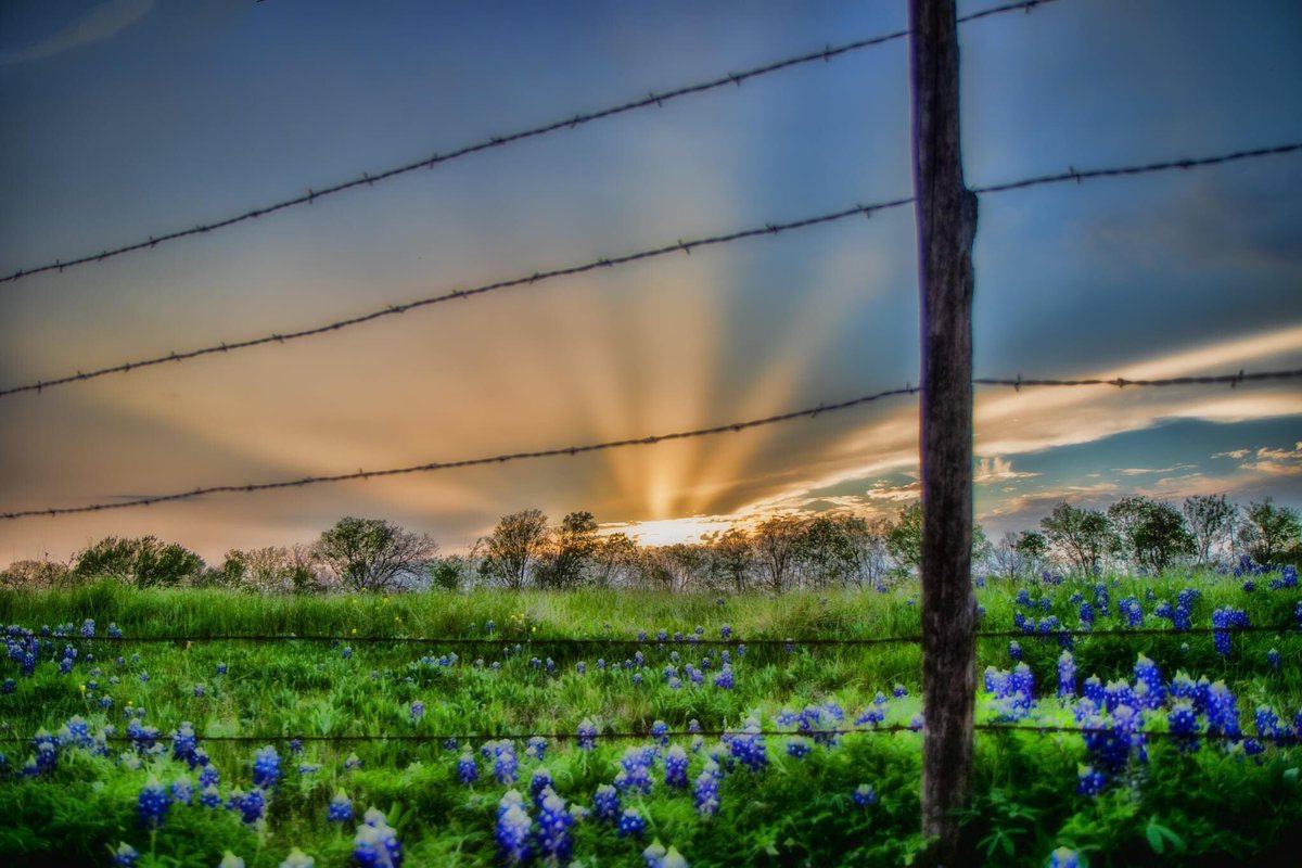 Ronnie Prcin tweet media