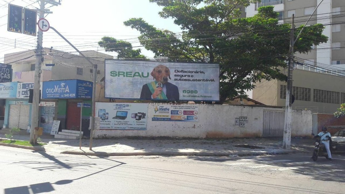 viralatacomvc's tweet photo. Cãobada, já viram nosso outdoor em Goiânia?🐶 https://t.co/YCEkmj6cVb