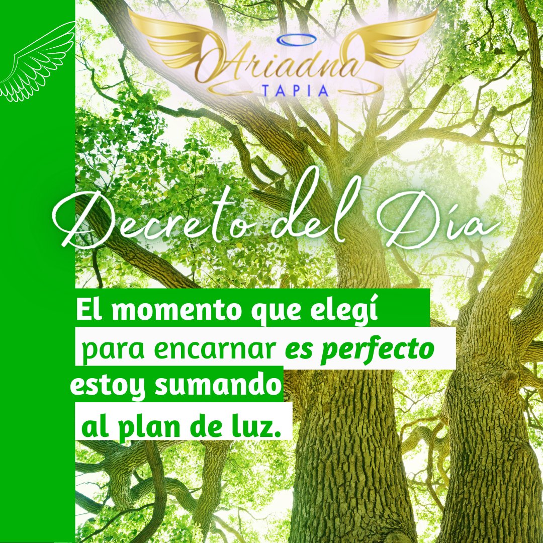 AriadnaTapiaOk's tweet photo. 🌞Decreto del Día | Ariadna Tapia
#AriadnaTapia #somosguerreros #somosmagos #somosmaestros #angel #angeles #arcangel #arcangeles #decretodeldia #decretosdiarios #encarnacion #plandivino #plandelalma https://t.co/djv6GcW3Pw