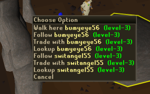 Ninjagoldmaking's tweet photo. @JagexTwisted can you please keep an eye on fire altar bots . ive seen multiple in there when im doing lavas . heres a few you can ban hammer too! looks like a blood rune alt bot farm to me https://t.co/OGNJ5ijlw8