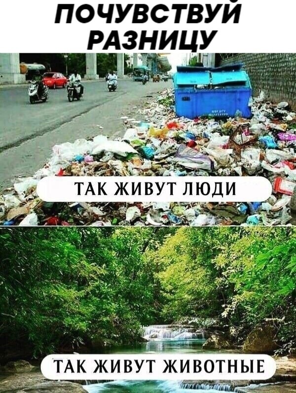 #россия