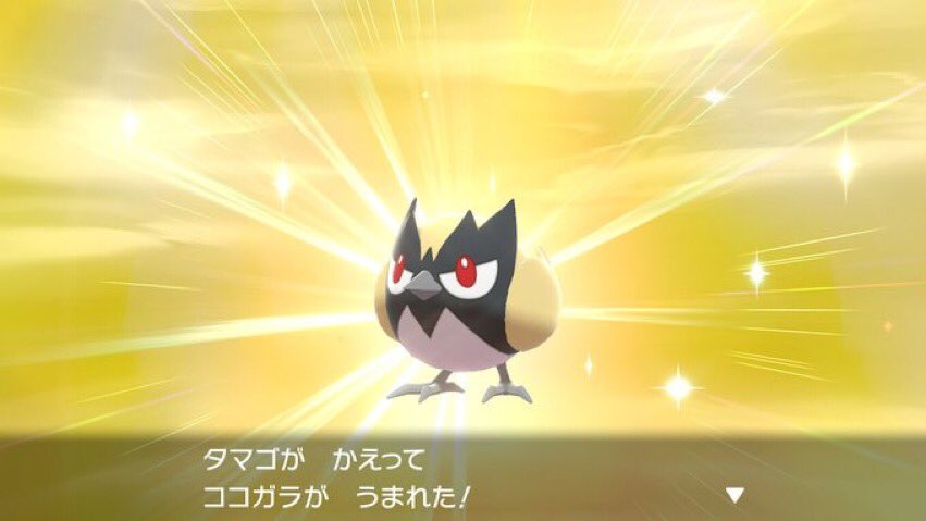 Tn うどん 趣味 色ココガラ来ちゃーー 今回もかなり早く来てくれたので 色違い ポケモン剣盾 ソードシールド