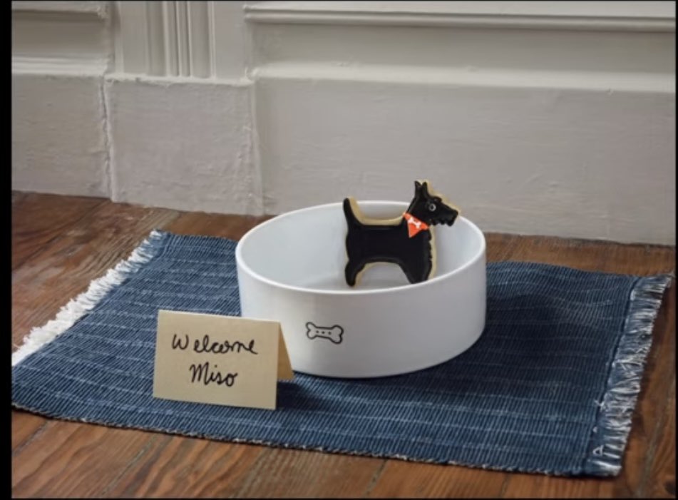 RVP2014's tweet photo. Are we just not going to talk this? @Airbnb hosts over here making me think little Miso is dying with the song choice. Why am I sad now? https://t.co/oIYCsFuwGi