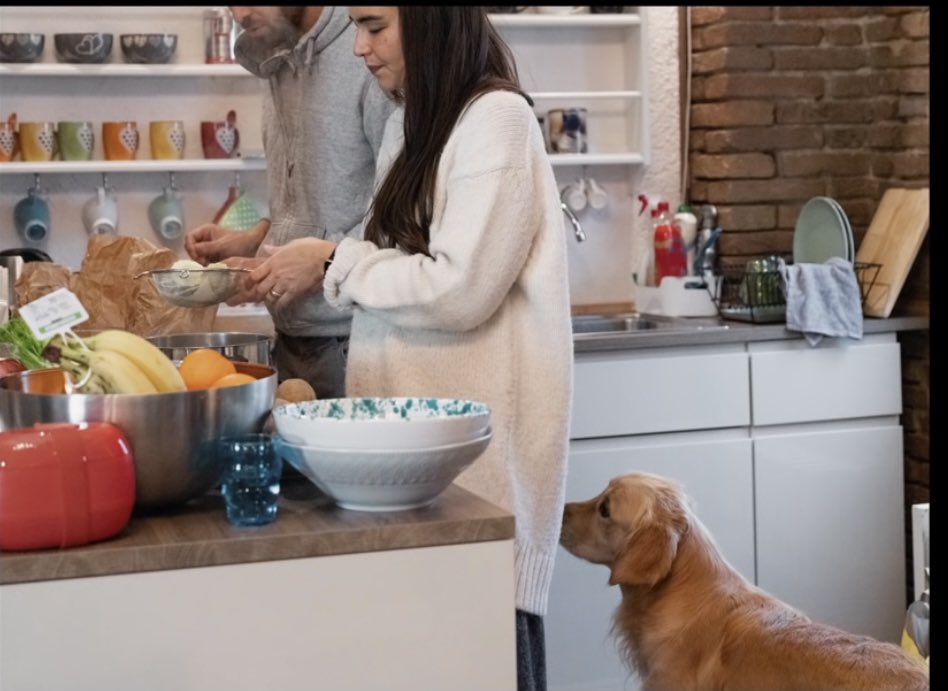 RVP2014's tweet photo. Are we just not going to talk this? @Airbnb hosts over here making me think little Miso is dying with the song choice. Why am I sad now? https://t.co/oIYCsFuwGi