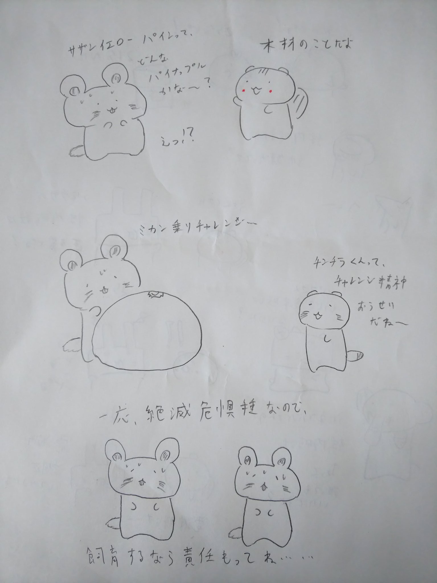 サザンイエローパインの日 Twitter Search Twitter