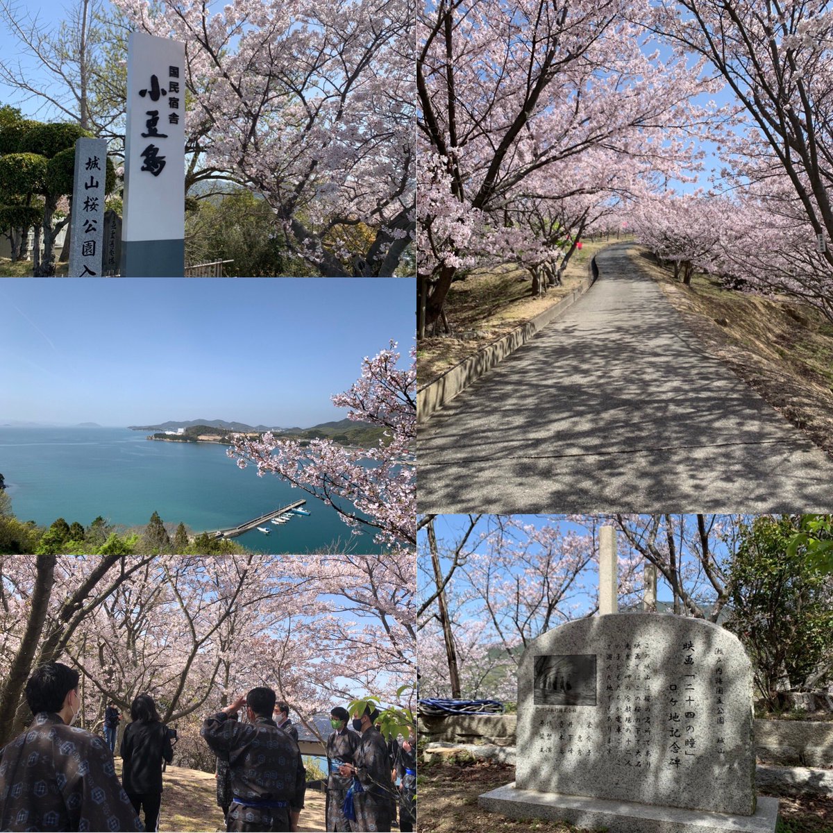 慶 山桜 最新情報まとめ みんなの評判 評価が見れる ナウティスモーション