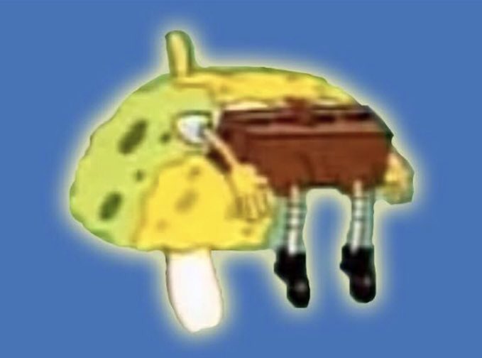 bnwofemdomme's tweet photo. 8 year old me playing dead in the pool to see if anyone cared https://t.co/NS5onU24TS