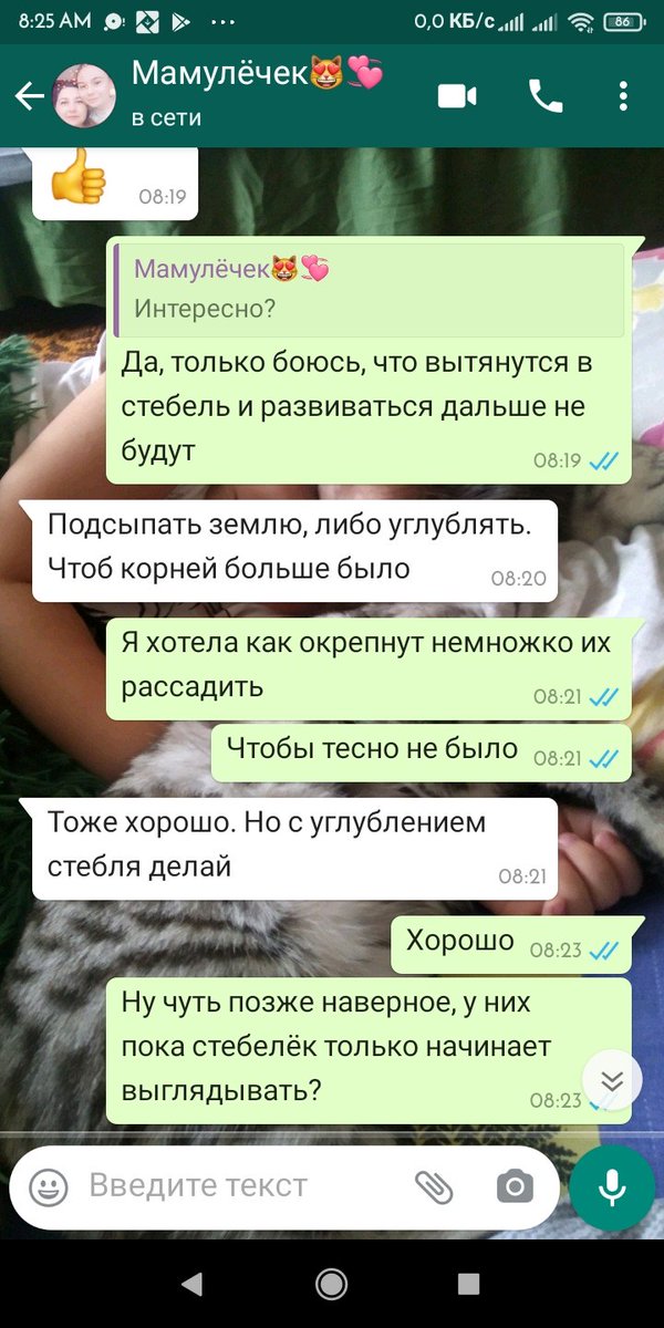 fallInLovee8's tweet image. Кто что, а мы с мамой с утра обсуждаем рассаду😋👍