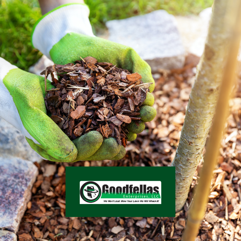 Applying mulch to flower beds and around trees is an inexpensive, yet attractive way to boost the curb appeal of your home or office. How to properly mulch your yard in 5 easy steps:  
morningchores.com/how-to-mulch/

#lawncare