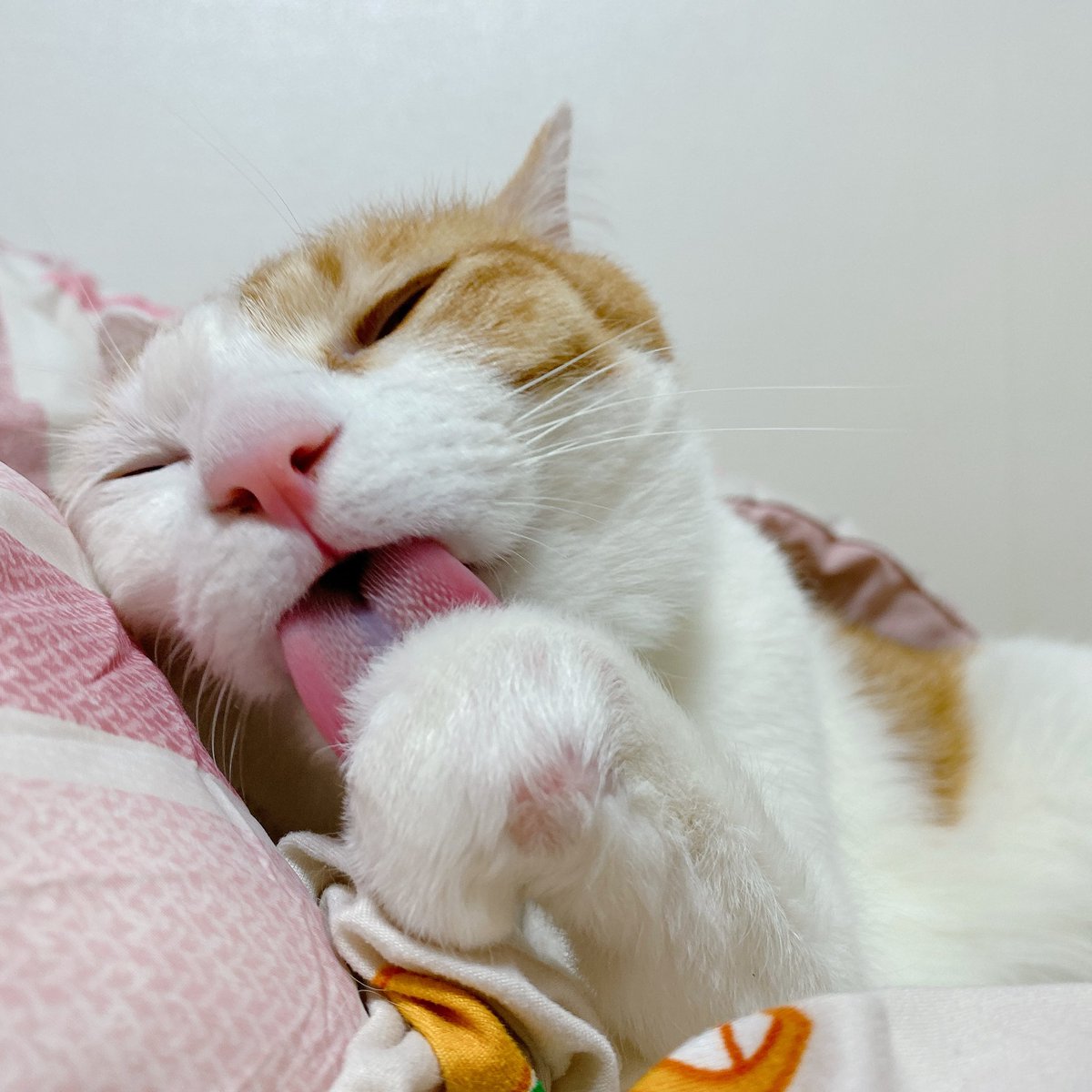 늘 사랑스럽고 귀여운 샛별이☺️❤️
네가 있어서 매일 매 순간 행복해