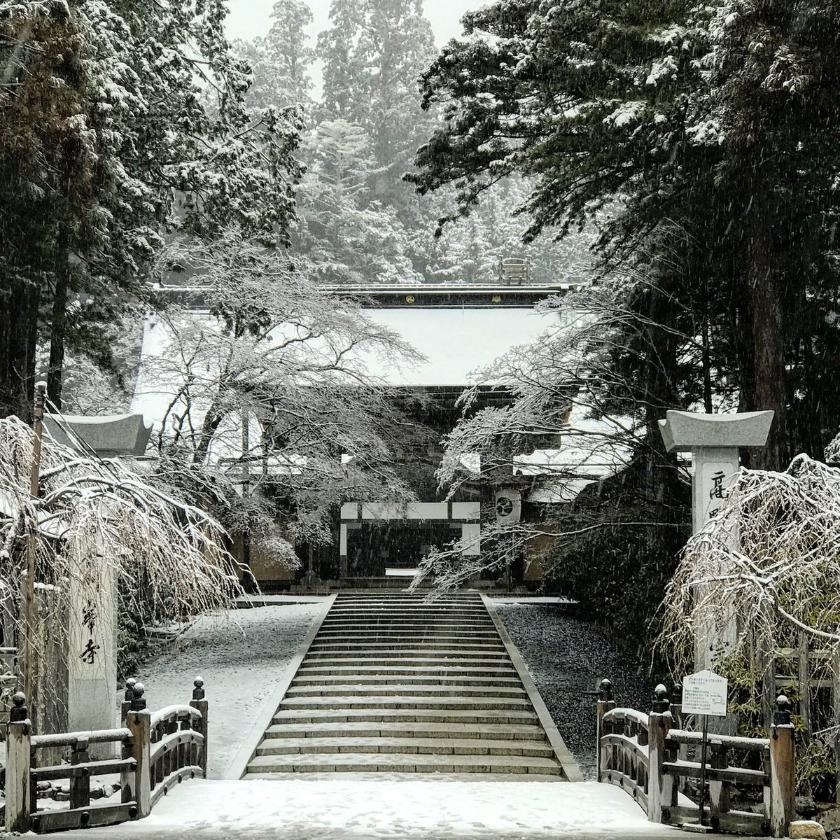 高野山 青巖寺 南山坊 4年前の今日3月31日は雪が降りました 稀に降ることもあるのです 今年は天気予報を見ていてもさすがに氷点下は見られません ただ 4月9日に0 の予報がでています 写真17年3月31日 金剛峯寺 高野山 青巖寺 南山坊 4年前の今日3月31日は雪が降りました 稀に降ることもあるのです 今年は天気予報を見ていてもさすがに氷点下は見られません ただ 4月9日に0 の予報がでています 写真17年3月31日 金剛峯寺