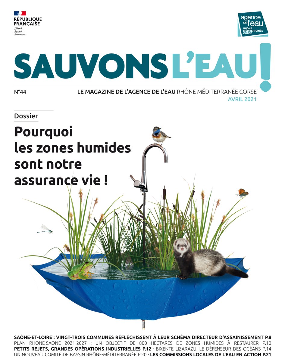 SauvonsLeau's tweet photo. [A lire] Pourquoi les zones humides ☘️🌼sont notre assurance vie ! Le numéro d'avril du magazine de l'agence de l'eau vient de paraître ➡️https://t.co/NYoAmyfJac https://t.co/VTPxJyzMdp