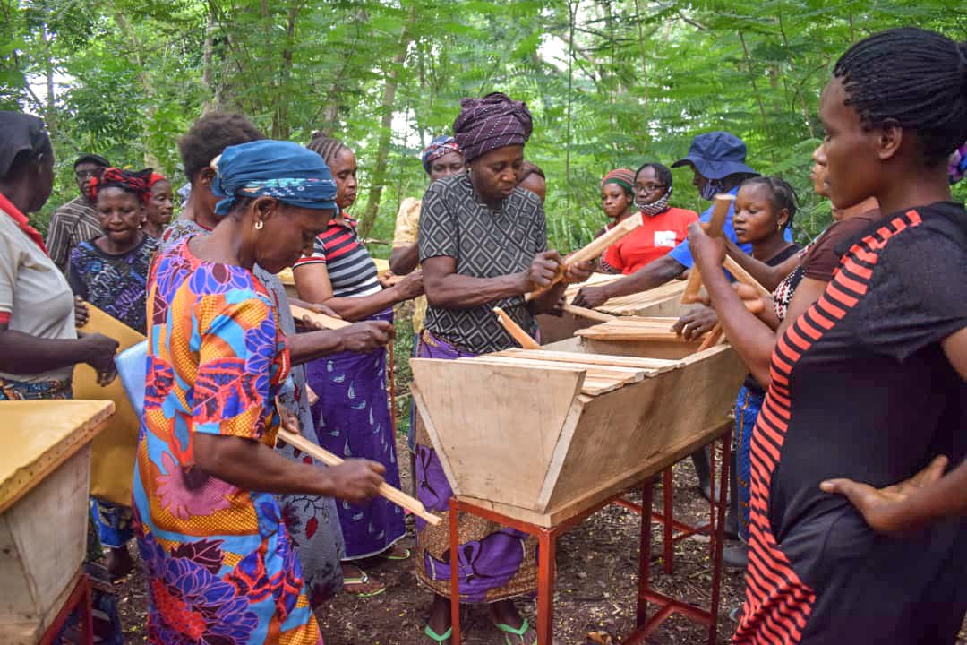UNDPNigeria's tweet photo. Through the @UNDP @theGEF beekeeping training programme, rural women in 10 communities in Benue State are being equipped with skills to support their livelihoods, provide additional income stream and enable them to improve their families’ wellbeing. 
#BuildForwardBetter https://t.co/VmRb9FmOFp