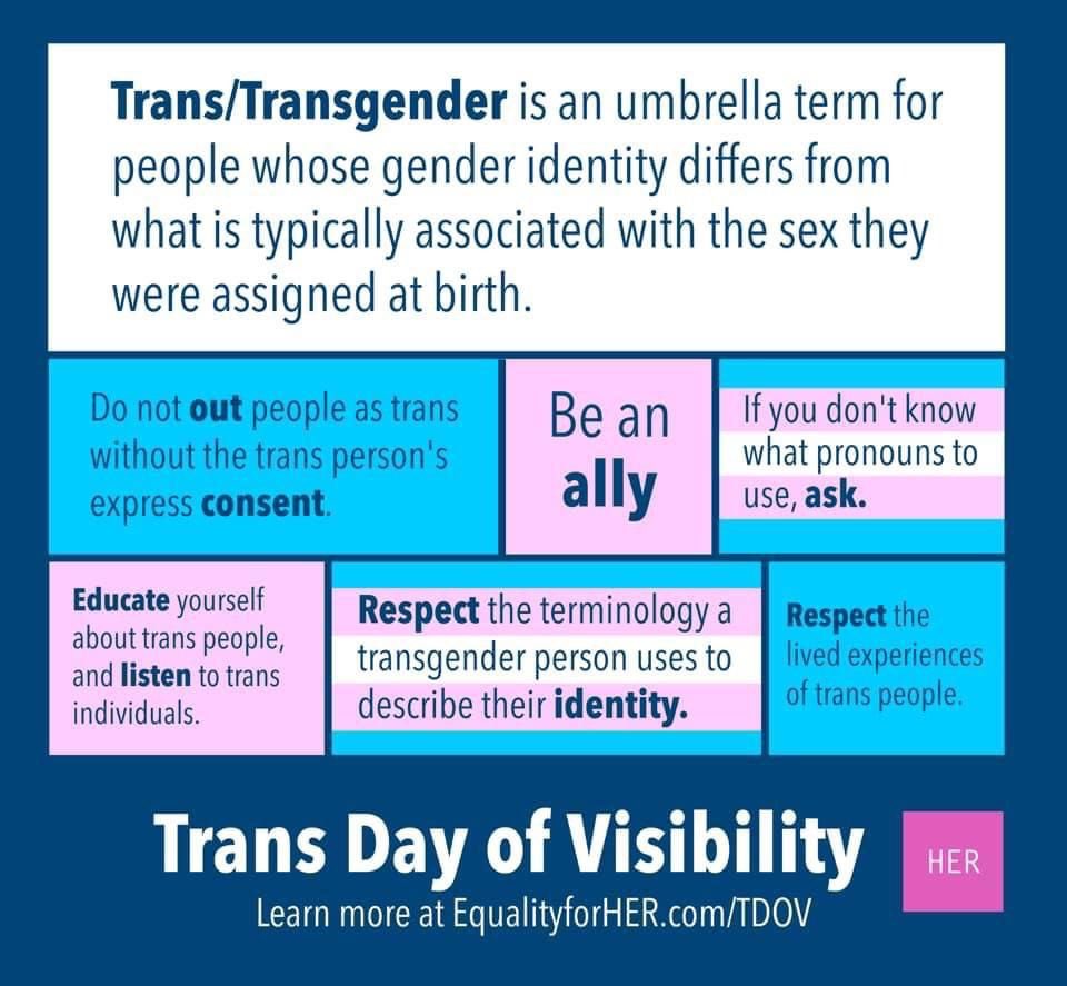 🏳️‍⚧️🎉🏳️‍⚧️ Happy #TransDayOfVisibility. 

To all our trans family, we’ve got your back ✊🏿✊🏽✊🏻

Be an ally. Are you an ally?

#TransDay #BeAnAlly