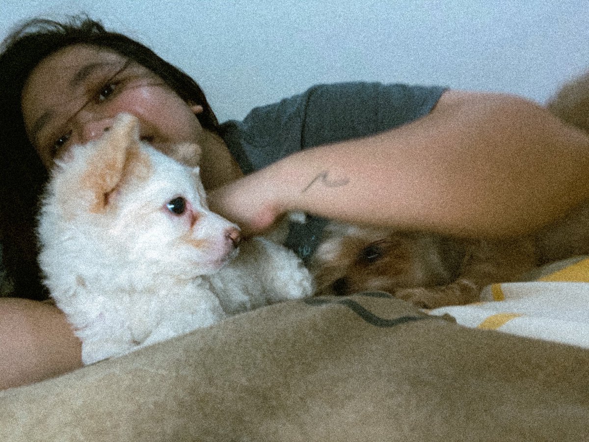 _melaaanieee's tweet photo. 🐶 https://t.co/1y3kUMs35D