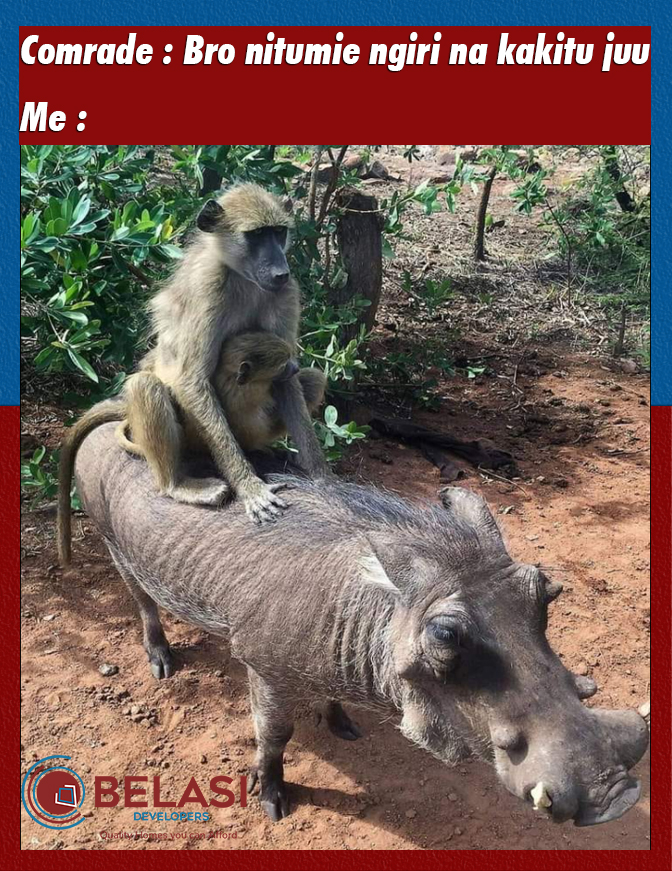 BelasiLimited's tweet photo. Lakini kwa nini mkuwe hivi 🤣
#BelasiDevelopers
#reuben_kigame
#NairobiHospital https://t.co/nzCCIJZg80