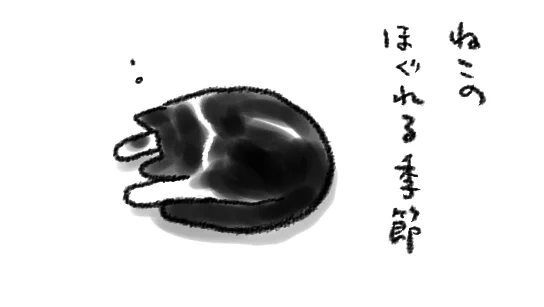 ねこ360度かわいい 