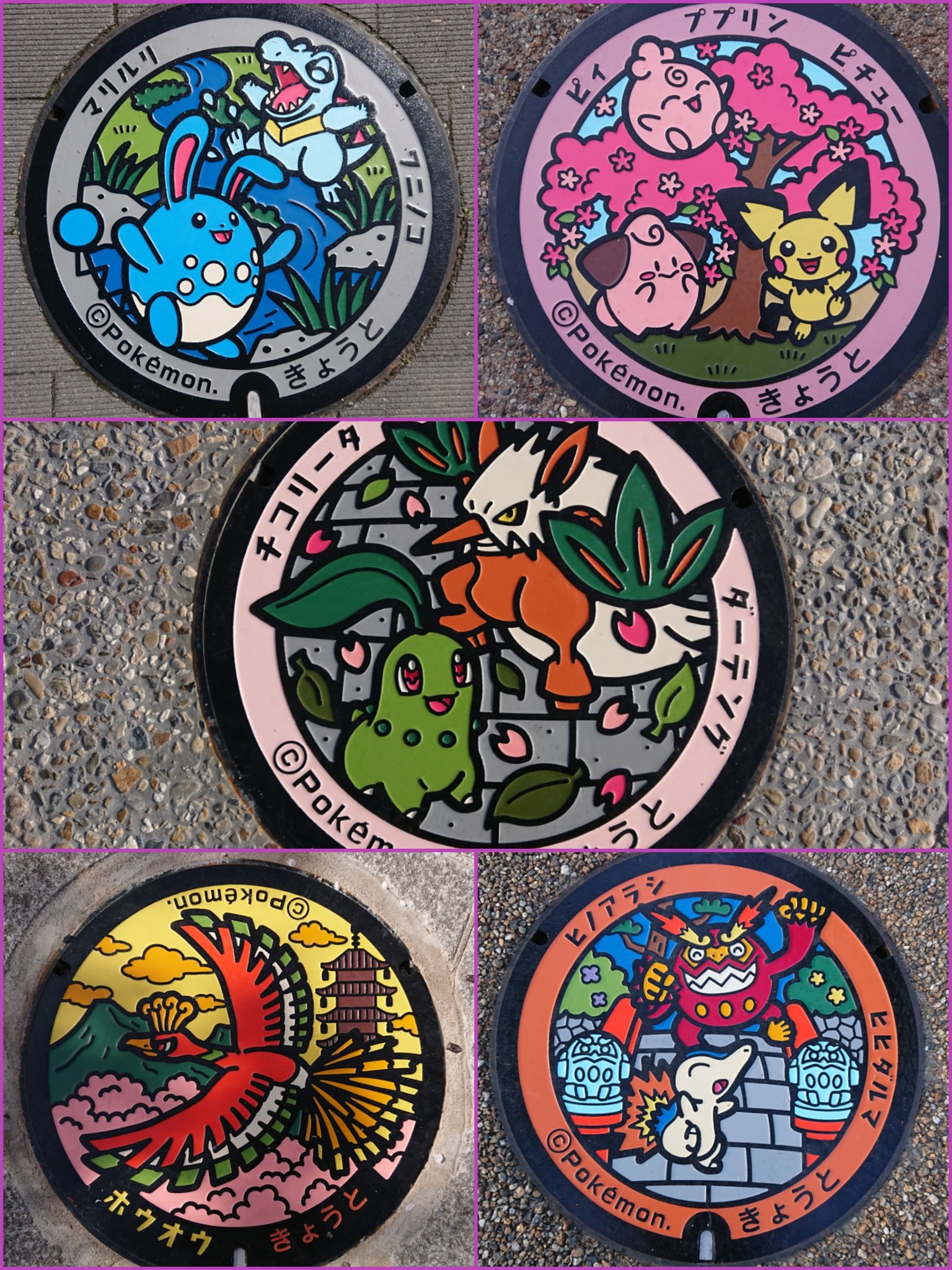 Arei ポケモンマンホールの旅京都編 約2時間半でコンプリート ポケモンマンホール ポケふた ポケふた 京都 梅小路公園 マリルリ ワニノコ 嵐山 ホウオウ 西京極 チコリータ ダーテング 円山公園 ピチュー ププリン ピィ 岡崎公園