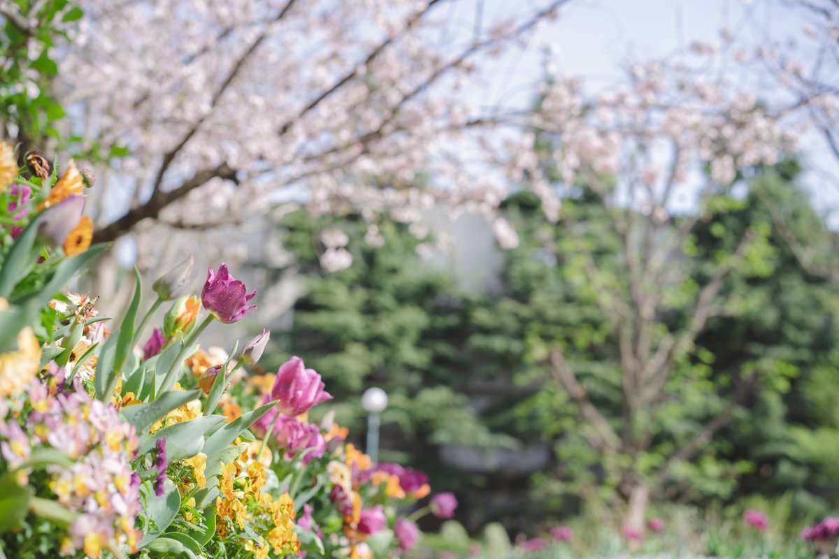 花束みたいな恋をした ロケ地 撮影秘話 最新情報まとめ みんなの評価 レビューが見れる ナウティスモーション 7ページ目 花束みたいな恋をした ロケ地 撮影秘話 最新情報まとめ みんなの評価 レビューが見れる ナウティスモーション 7ページ目