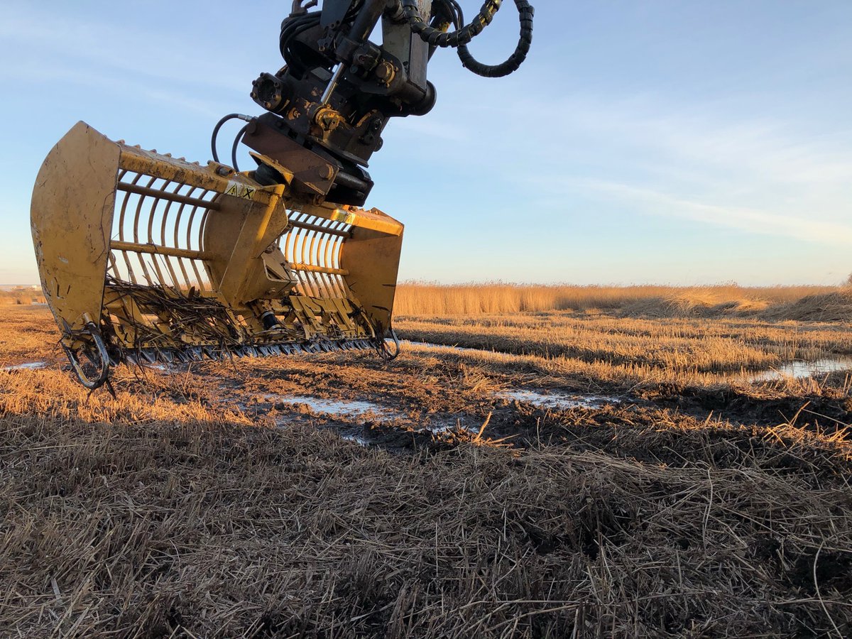 alaska_ltd's tweet photo. Bradshaw bucket attachment - excellent for cutting and collecting reed for RSPB at Lodmoor, Weymouth. https://t.co/H4sVevtnlx
