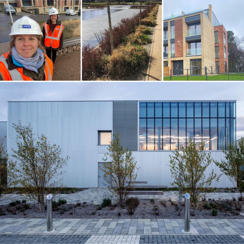 Really pleased to share that Alice Hankin has been promoted to Principal Landscape Architect. We celebrated on Friday with a couple of site visits to Craighouse in Edinburgh and Forth Valley College.