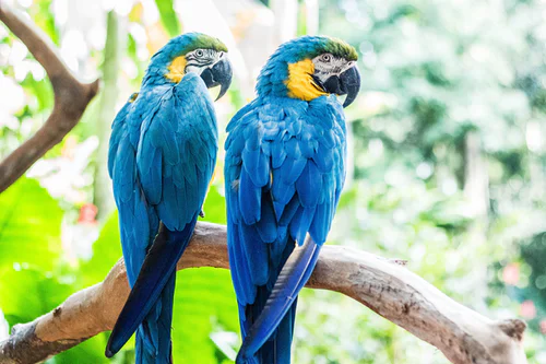 PrimleyWoodPS's tweet photo. Don't forget that we'll be wearing blue at school tomorrow to raise money for #AutismAwarenessDay https://t.co/Q1GfqvFrPB