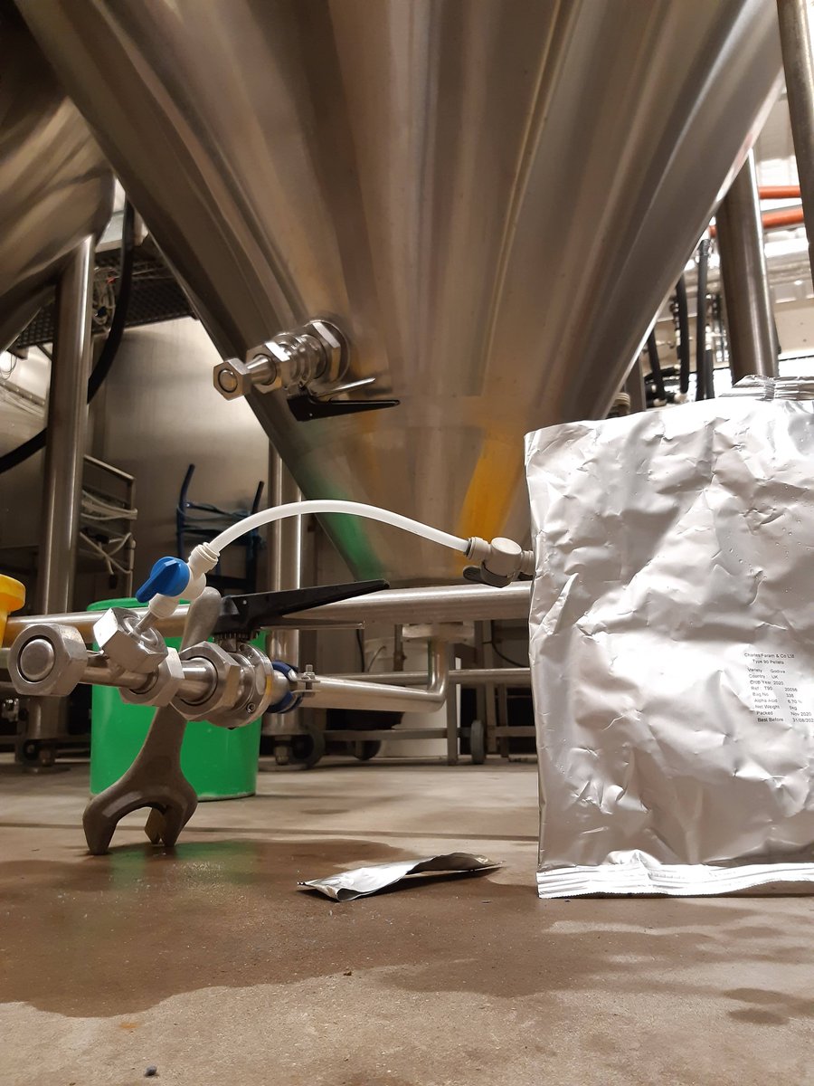 Yeovil Ales Brewery (@yeovilalesbrew) on Twitter photo That's the <a href="/CharlesFaram/">Charles Faram</a> Godiva T90s added to our updated British Summer Time brew, smelling great already! <a href="/Britishhops/">British Hop Association</a> #sustainablehops #BuyBritish #godivahops That's the <a href="/CharlesFaram/">Charles Faram</a> Godiva T90s added to our updated British Summer Time brew, smelling great already! <a href="/Britishhops/">British Hop Association</a> #sustainablehops #BuyBritish #godivahops