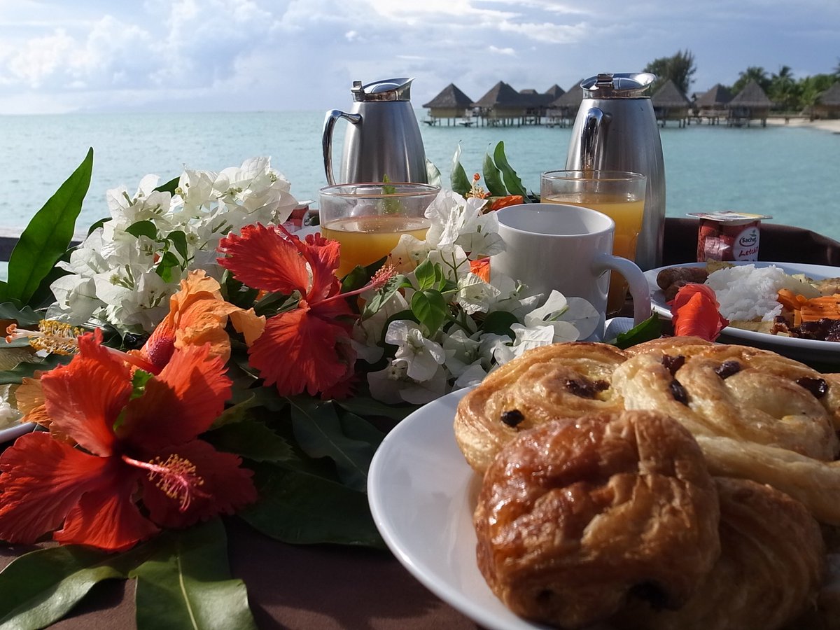 たびびとのたまご Tabitamago Twitter