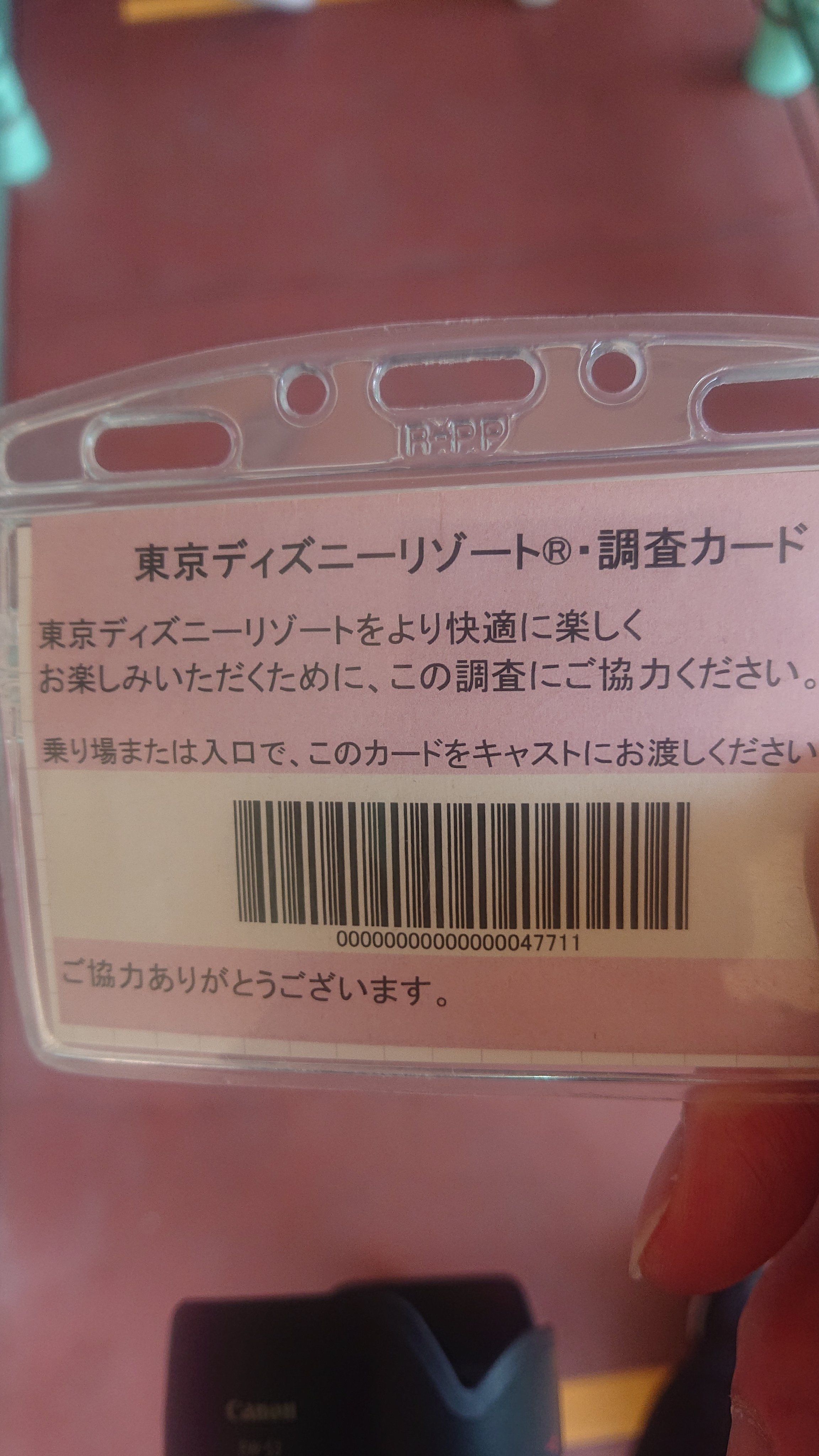 ネモ 昨日 1万人ディズニーを満喫したところ １日で2回も調査カードを頼まれるというレアな体験をした T Co Gqbzsdsnax Twitter