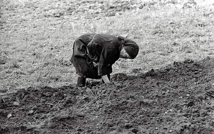 🖼️ #GalizaAntiga • Traballando a terra.

🗓️ 1974.
📸 Carlos Valcárcel.

📆 #31deMarzo
📅 #CuartaFeira #FelizMiércoles

5️⃣4️⃣8️⃣