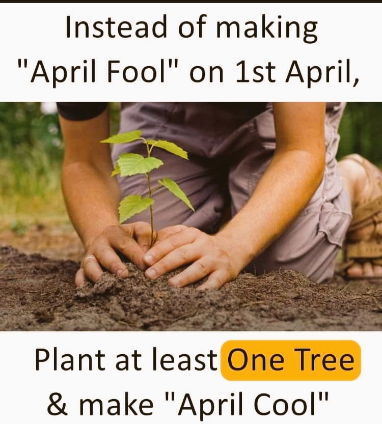 ThePksinha's tweet photo. #AprilCoolChallange
plant one tree to make April 1st meaningful
#PlantFuture
#AprilFoolsDay https://t.co/L25cqEtHOB