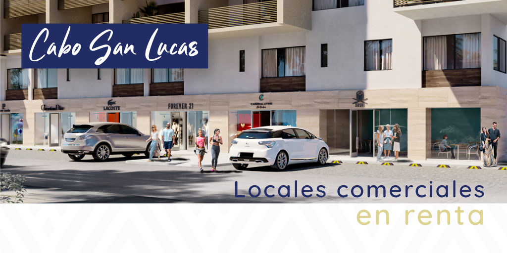 CardinalLiving's tweet photo. Nuestros desarrollos están pensados para brindar todas las comodidades a quienes habiten ya sea de forma permanente o por temporada.

Haz negocios con nosotros y forma parte de la Comunidad Cardinal Living.

Click ➡️ https://t.co/6e0wBUgbkj

#CardinalLiving #Comercial #Negocios https://t.co/HLOK8Z97Ta