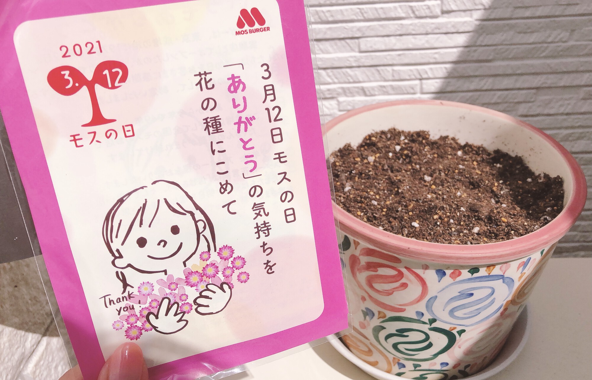 モスバーガー アスター の種まきから1か月半 大分葉が増えたので ポットを増やして植え替えをしました 今の所順調な様です ๑ ᴗ و モスバーガー アスターの種 モスの日 T Co Tljnqfxprz Twitter