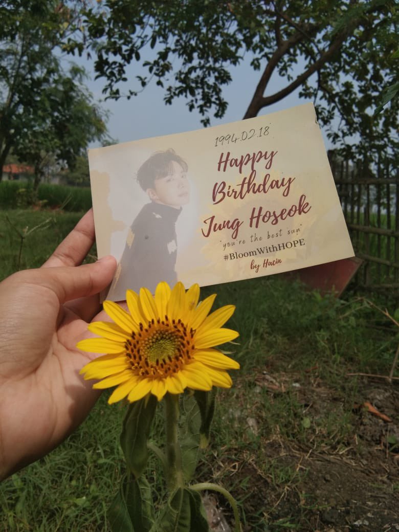 forhacin's tweet photo. Dapat kiriman foto dari salah satu peserta event #BloomWithHOPE di Bekasi. Bunga Mataharinya sudah mekar 🌻 https://t.co/Ue7mt0DEdS