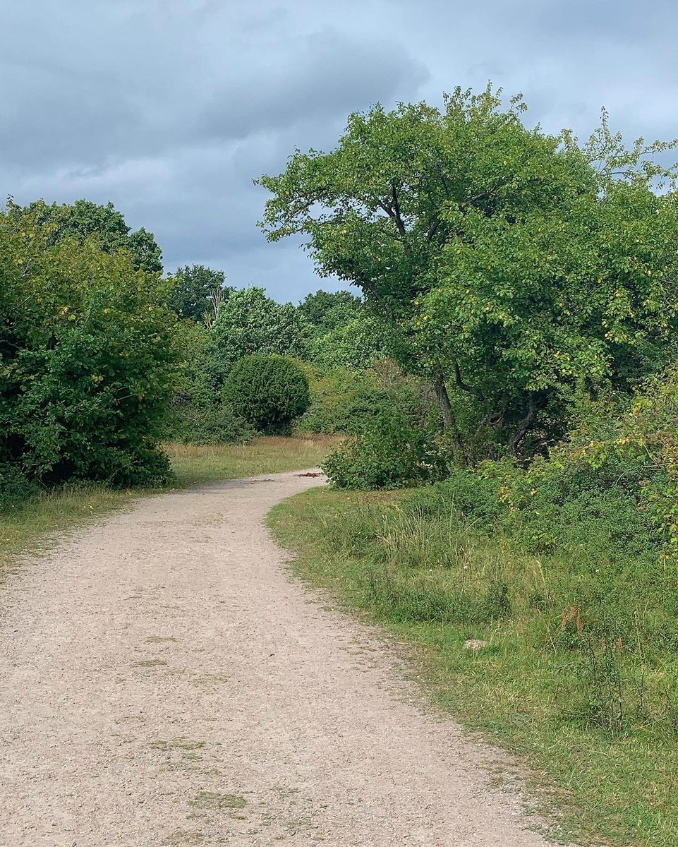 🐶semi hiatus😾 tweet media