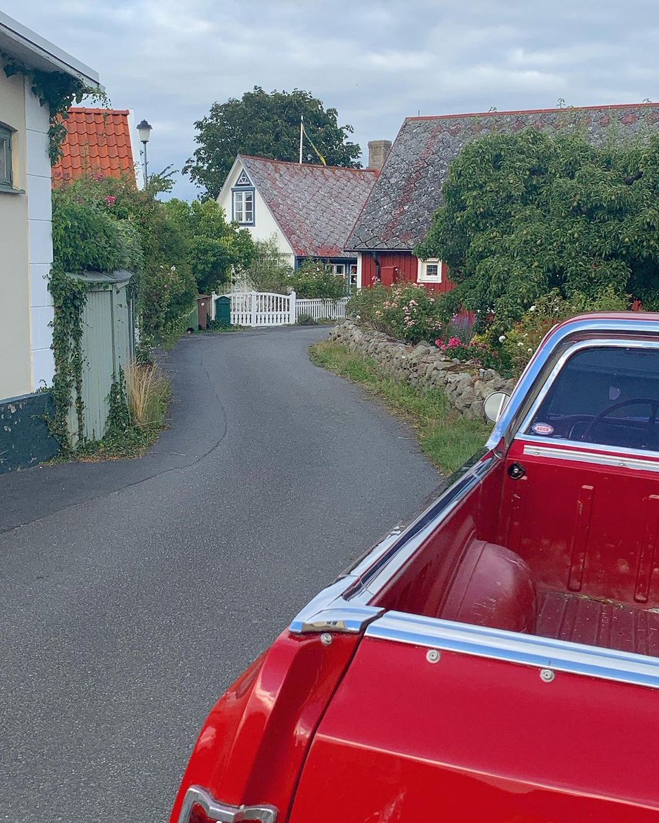 🐶semi hiatus😾 tweet media